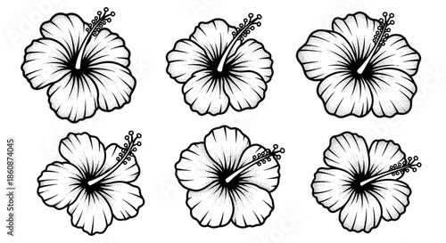 Set of six hand-drawn hibiscus flowers in black and white line art style.