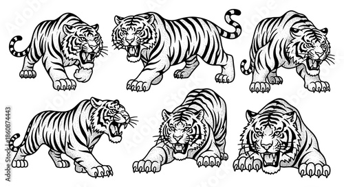 Set of six fierce tiger illustrations in various dynamic poses.