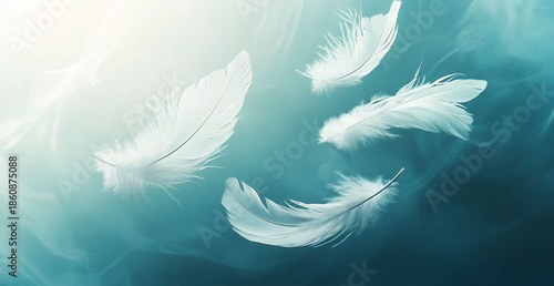 White Feathers Floating Teal Background Tranquil Serene Peaceful Image