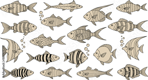 Isometric Fish Vector Illustration Set Showing Hand Drawn Aquatic Animals with Decorative Patterns for Marine and Ocean Design