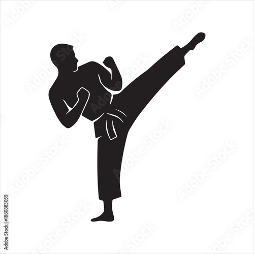 Silhouette martial arts practitioner performing side kick vector illustration