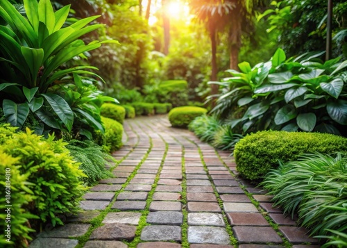 Garden paving stones with lush greenery