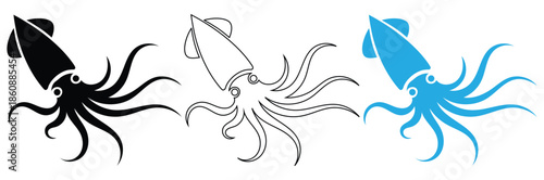 Three squid illustrations in black, white, and blue colors,Squid, octopus and cuttlefish in icons and symbol, vector,Squid silhouette illustration vector design.