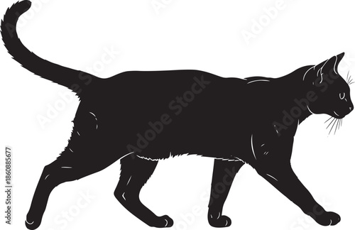 Silhouette of a sleek black cat gracefully walking to the right, its tail raised in a curve, showcasing its elegant feline form against a plain backdrop.