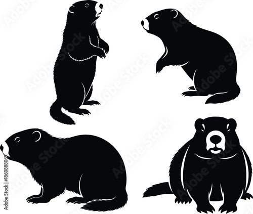 Four black silhouettes of bears in different poses on a white background