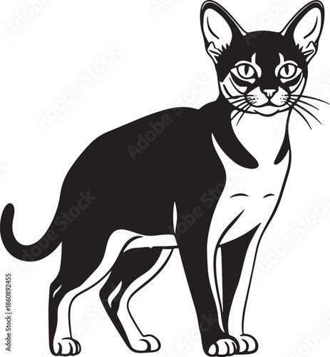 Black and white cat illustration on white background