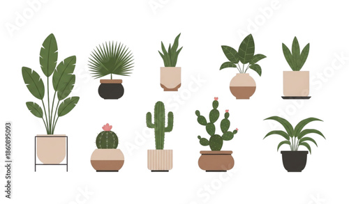 Trendy home decor vector illustration with indoor plants and modern planters isolated on white background