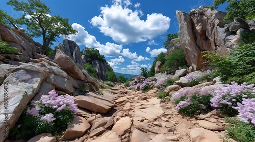 Rocky hiking trail winding through boulders and pink wildflowers under a blue sky with white clouds