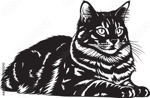 Beautiful black cat lying down with alert expression