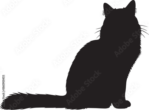 Black cat silhouette sitting and looking away