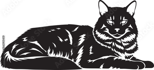 Black cat lying down and looking at camera