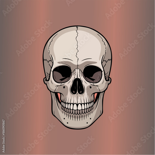 Illustrated human skull portrait with shading and cracks.