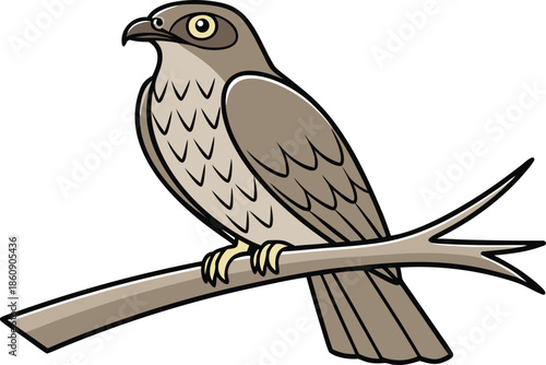Tableau sur toile Bulbul Bird Single Animal Illustration