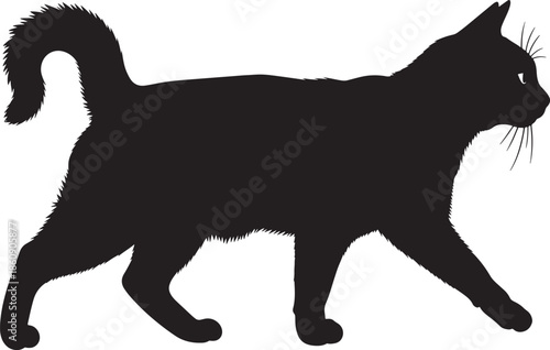 Black cat silhouette walking