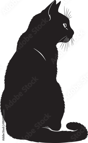 Black cat sitting silhouette