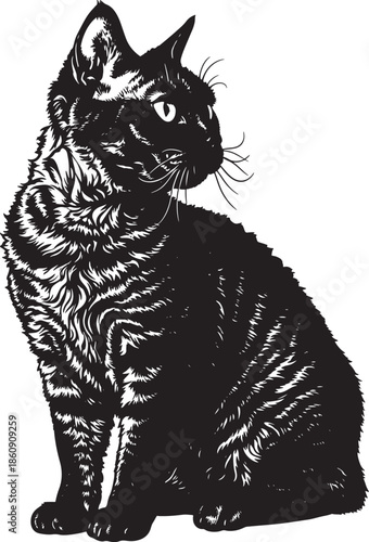 Black cat sitting and looking sideways