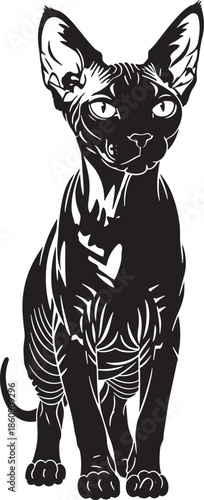 Black sphynx cat illustration on white background
