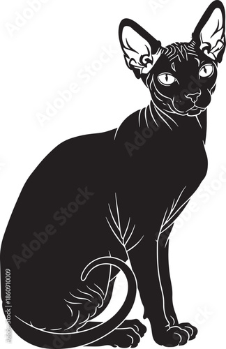 Sleek sphynx cat sitting elegantly