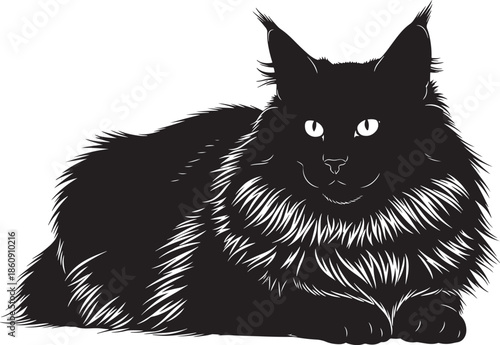 Black cat lying down with white eyes