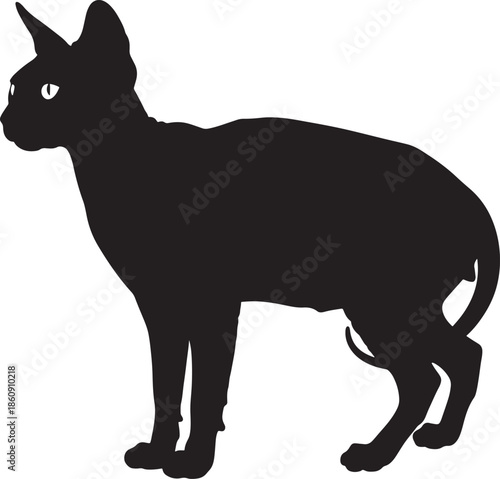 Black cat silhouette standing profile on white background
