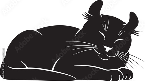 Black cat sleeping peacefully on white background