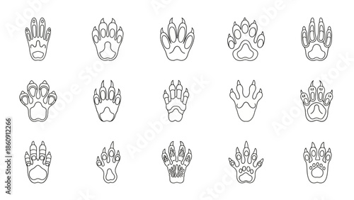 A collection of various animal paw prints and tracks in line art style, illustrating different species' footprints for identification.