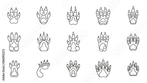 A collection of various animal paw prints and tracks in line art style, illustrating different species' footprints for identification.