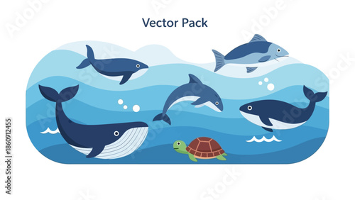 A vector pack illustration featuring various marine animals like whales, dolphins, fish, and a sea turtle swimming in blue ocean water.