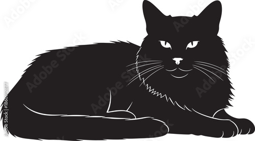 Black cat lying down with piercing eyes