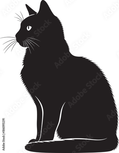 Black cat silhouette with white eye