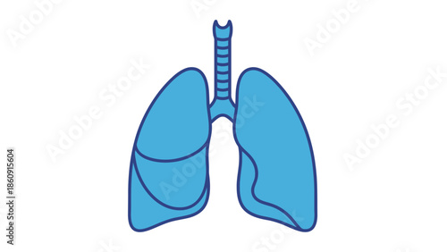Simplified blue illustration of human lungs and trachea on a white background
