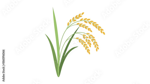 Stylized illustration of a rice plant with golden grains and green leaves on a white background
