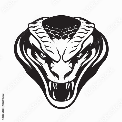 Close-up of Viper Snake with Open Mouth Image Vector on White Background