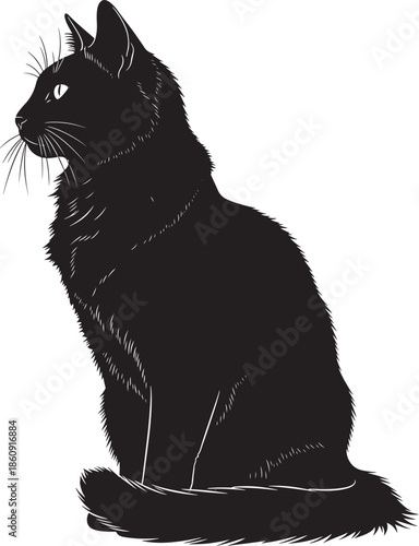 Beautiful black cat sitting and looking away