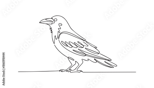 One continuous line illustration of an Crows , isolated on white background.