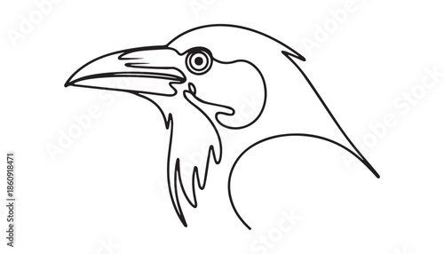 One continuous line illustration of an Crows , isolated on white background.