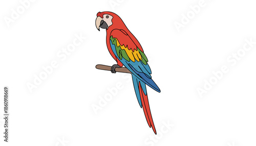 One continuous line illustration of an parrot , isolated on white background.