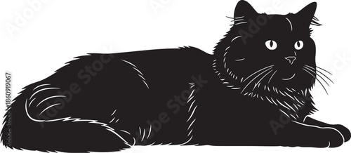 Black cat lying down with bright eyes