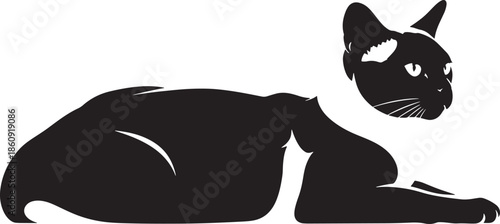 Sleek black cat lying down with alert expression