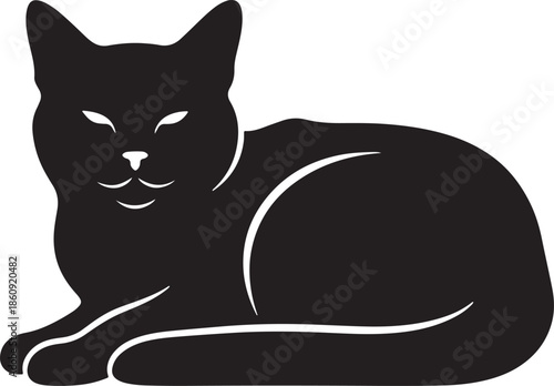 Black cat lying down with eyes open