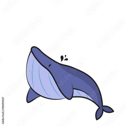 Sea animals with white background