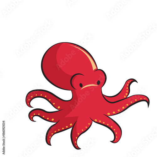 Sea animals with white background