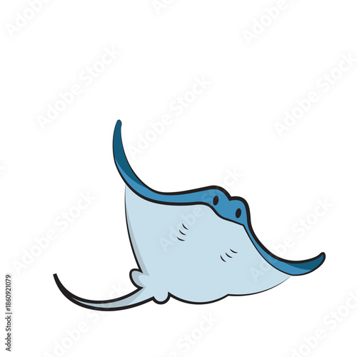 Sea animals with white background