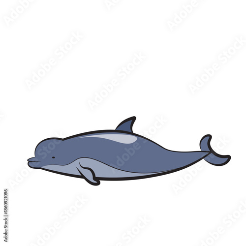 Sea animals with white background