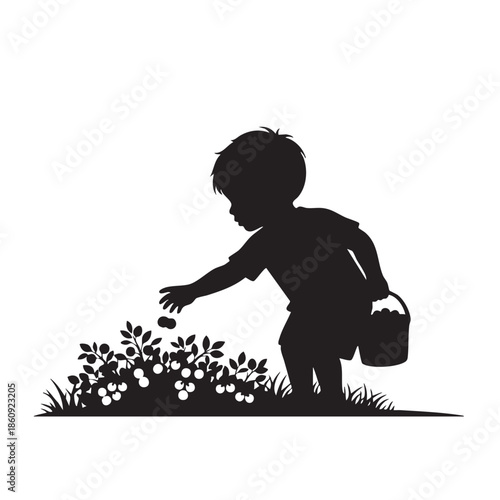 Young boy picking berries into basket silhouette. Child harvesting fruit from bush. Little gatherer collecting fresh produce, outdoor activity. Youth enjoying nature bounty, healthy eating.
