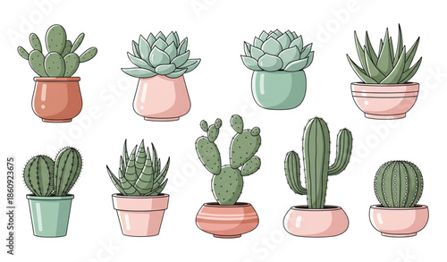 Cute succulent and cactus plants vector collection in modern flat style isolated on white background