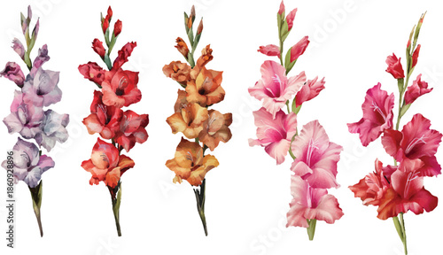 red and yellow flowers