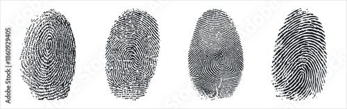 fingerprint vector illustration	
