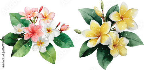 bouquet of flowers isolated