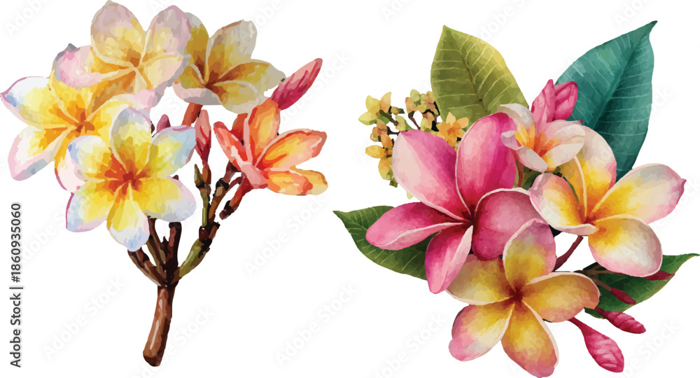 Obraz premium vector illustration of a flower